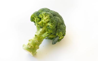 Broccolisoep